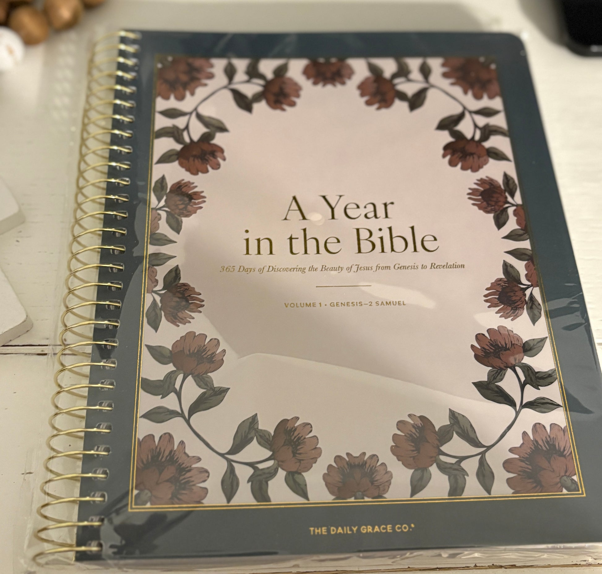 A Year In The Bible