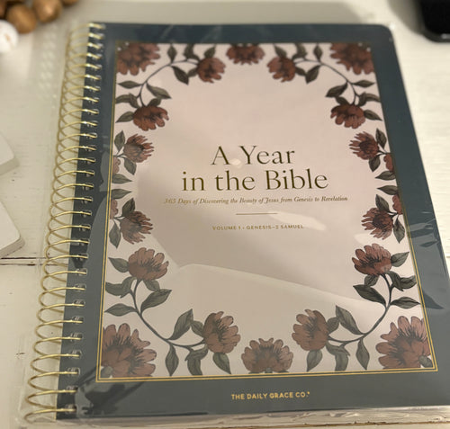 A Year In The Bible
