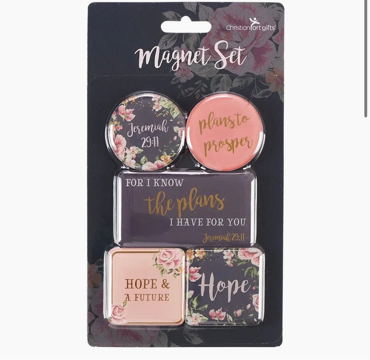 Jeremiah 29:11 Magnet Set